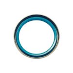 SB tipo skeletinis alyvos sandariklis