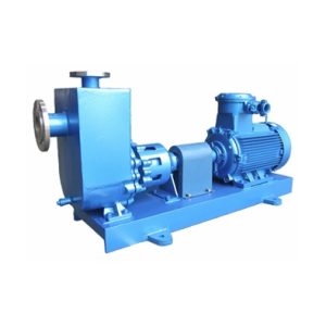 savaiminio užpildymo magnetinio pavaros centrinis siurblys