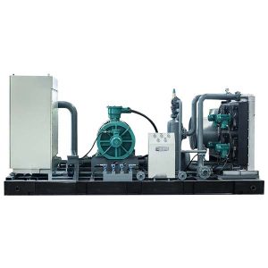 gamtinių dujų slėgio didinimo kompresorius